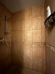 考纳斯Cosy apartment的墙上设有带吹风机和淋浴的浴室