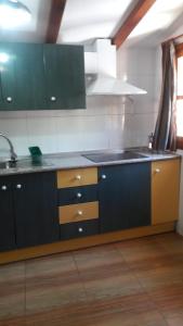 阿罗约弗里奥塞维利亚公寓的厨房配有绿色和棕色的橱柜和水槽