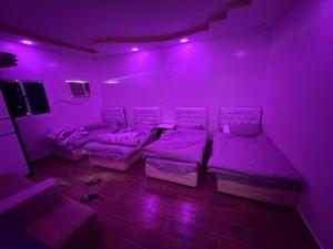 Ḑubāشاليه مجهز بالكامل مسبح وملعب و حديقه هادئه بضباء的紫色的客房配有床和沙发。