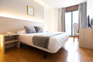 庞特维德拉马德里酒店的一间卧室配有一张带书桌和电视的床。