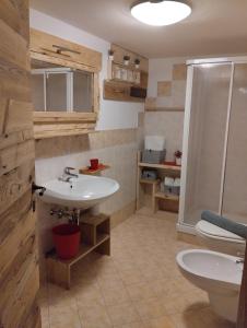 坎皮泰洛迪法萨Botton d'oro的一间带水槽和淋浴的浴室