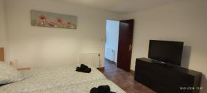 昂代Acogedor apartamento entre España y Francia.的一间卧室配有一张床和一台平面电视