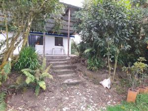 拉卡莱拉Acogedora cabaña entre las montañas de La Calera- Colombia的一座房子,楼梯通往