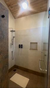 SekenaniLuluka Guest House的带淋浴的浴室和玻璃门