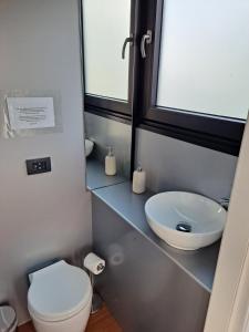 多尔梅莱托Floating Experience Black Pearl, Lago Maggiore的一间带卫生间和水槽的小浴室