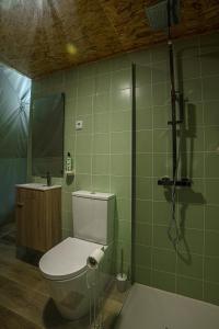 卡纳斯·德·塞尤里Manteiros Glamping的一间带卫生间和淋浴的浴室
