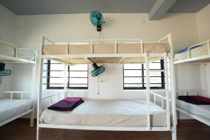戈卡尔纳Borrbo Beach Hostel Gokarna的带两张双层床的客房,设有两扇窗户