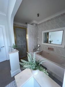 道格拉斯Tynwald Apartments的带浴缸、水槽和植物的浴室