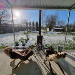 VarsenareEvaMaria的桌上有两只填满东西的动物,有雪覆盖的院子