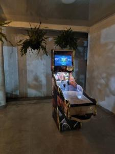 伊瓦格Cómoda casa de campo的植物间里的电子游戏机