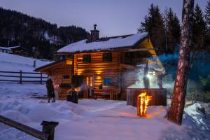 韦尔芬Almfrieden的雪中的一个小木屋