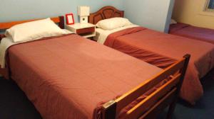 康塞普西翁Hostal San Valentín的两张睡床彼此相邻,位于一个房间里