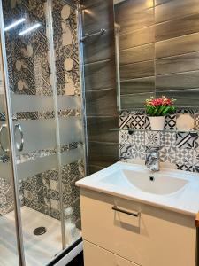 巴塞罗那Bonito apartamento en zona centrica de Barcelona的一间带水槽和淋浴的浴室