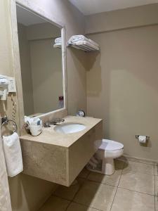 圣路易斯波托西旧金山酒店的一间带水槽和卫生间的浴室