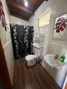 帕纳哈切尔Cabaña de Atitlan的一间带卫生间和水槽的小浴室