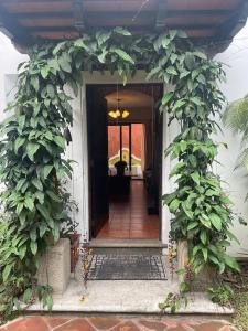 San Juan ObispoAcogedora casa con firepit的植物群的房屋入口