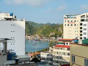 吉婆岛Cat Ba Violet Hotel的享有城市景观,设有建筑和海港