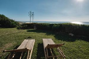 塔里法Bolonia Beach Campus的坐在靠近海洋的草地上的木凳