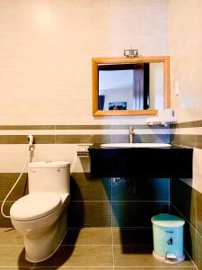 土龙木市SAO BĂNG HOTEL的一间带卫生间、水槽和镜子的浴室