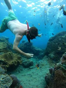 蓝梦岛瓦克图民宿的在一个珊瑚礁附近水中游泳的人