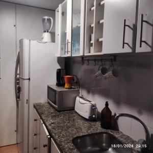 萨尔托Inmejorable salto centro的厨房柜台设有水槽和冰箱