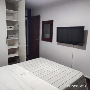 萨尔托Inmejorable salto centro的一间卧室配有一张床和一台平面电视