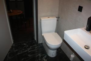 梅尔克Altstadt Apartment Melk的浴室配有白色卫生间和盥洗盆。
