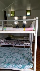 碧瑶Havilah House Baguio City的客房内的两张双层床