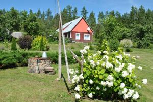 克拉斯拉瓦Brīvdienu māja Skerškāni的一座花园,花园内有红色的房子和白色的鲜花