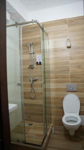 阿拉木图Saraishyq Hotel的带淋浴和卫生间的浴室