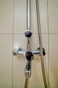 阿鲁沙Hil Venture的浴室内带软管的淋浴头