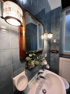 卡莫利LaMarina的浴室设有水槽、镜子和植物