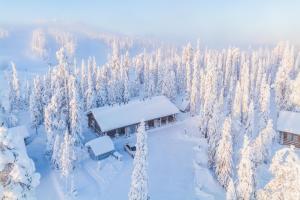 鲁卡Ruka Inn的雪覆盖森林中小屋的空中景观