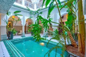 马拉喀什BÔ Riad Boutique Hotel & Spa的一座植物繁茂的建筑中的室内游泳池