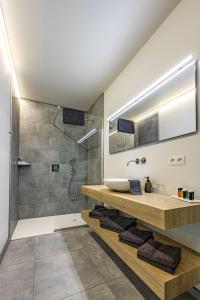 OlenBleekhoeve的一间带水槽和淋浴的浴室