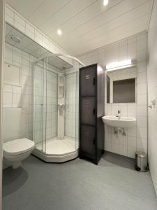 斯沃尔韦尔Vestfjordgata Apartment 3的带淋浴、卫生间和盥洗盆的浴室
