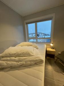 斯沃尔韦尔Vestfjordgata Apartment 3的一张位于带大窗户的房间内的床铺