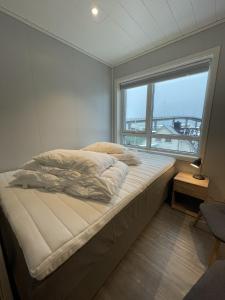斯沃尔韦尔Vestfjordgata Apartment 3的一张大床,位于带大窗户的房间里