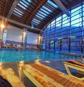 克利默内什蒂Vila Themis的一座大型室内游泳池,里面设有水中人