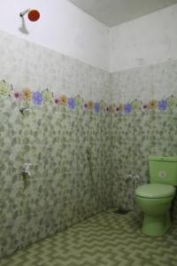 卡特勒格默ගයාන් ගෙස්ට් කතරගම的一间位于客房内的带绿色卫生间的浴室