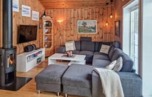 斯朱森Pet Friendly Home In Sjusjen With Sauna的带沙发和壁炉的客厅