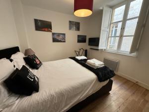 波尔多L'annexe Bordeaux Traditions的一间卧室配有一张带黑色枕头的床。