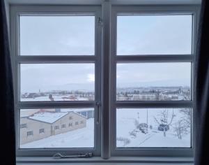 埃基斯蒂尔埃基斯蒂尔湖滨酒店的享有白雪 ⁇ 的城市景致的窗户
