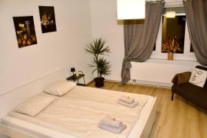 苏黎世Apartments zum Bühlhof (Julie)的一间卧室配有一张床、一张沙发和一个窗口