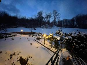 NeuwerkHaus am Bach的花园在晚上被雪覆盖,灯光照亮