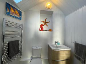 圣提斯Sandown 4 bedroom house St Teath的一间带水槽、卫生间和镜子的浴室