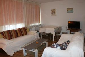 埃森City 2- room flat near uni and Limbecker Platz的客厅配有白色的沙发和桌子