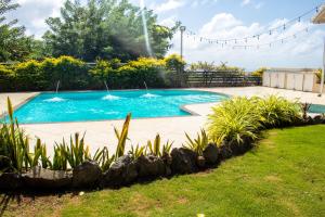 金斯敦La Cresta的庭院中一个带喷泉的游泳池