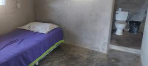 El GiganteHostal Pelican的小房间设有床和卫生间