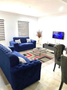 阿布贾CHRIS SPORSHE的客厅配有蓝色的沙发和电视